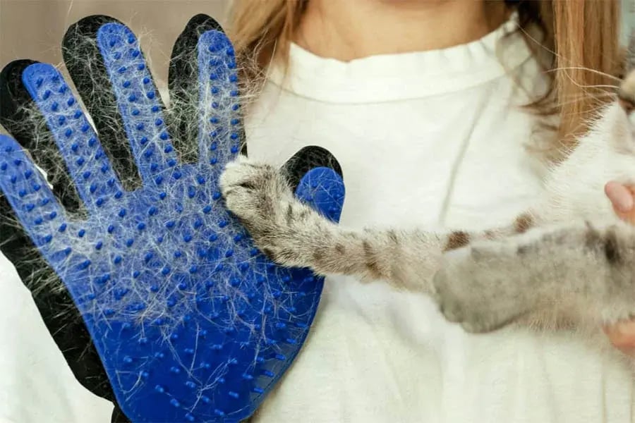 deshedding-glove-1